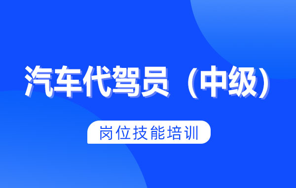 汽车代驾员（中级）
