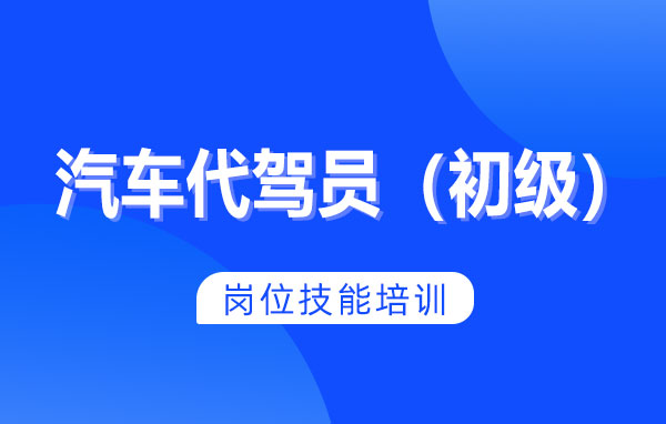 汽车代驾员（初级）